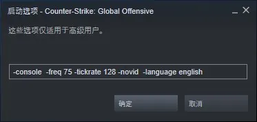 CS 启动选项