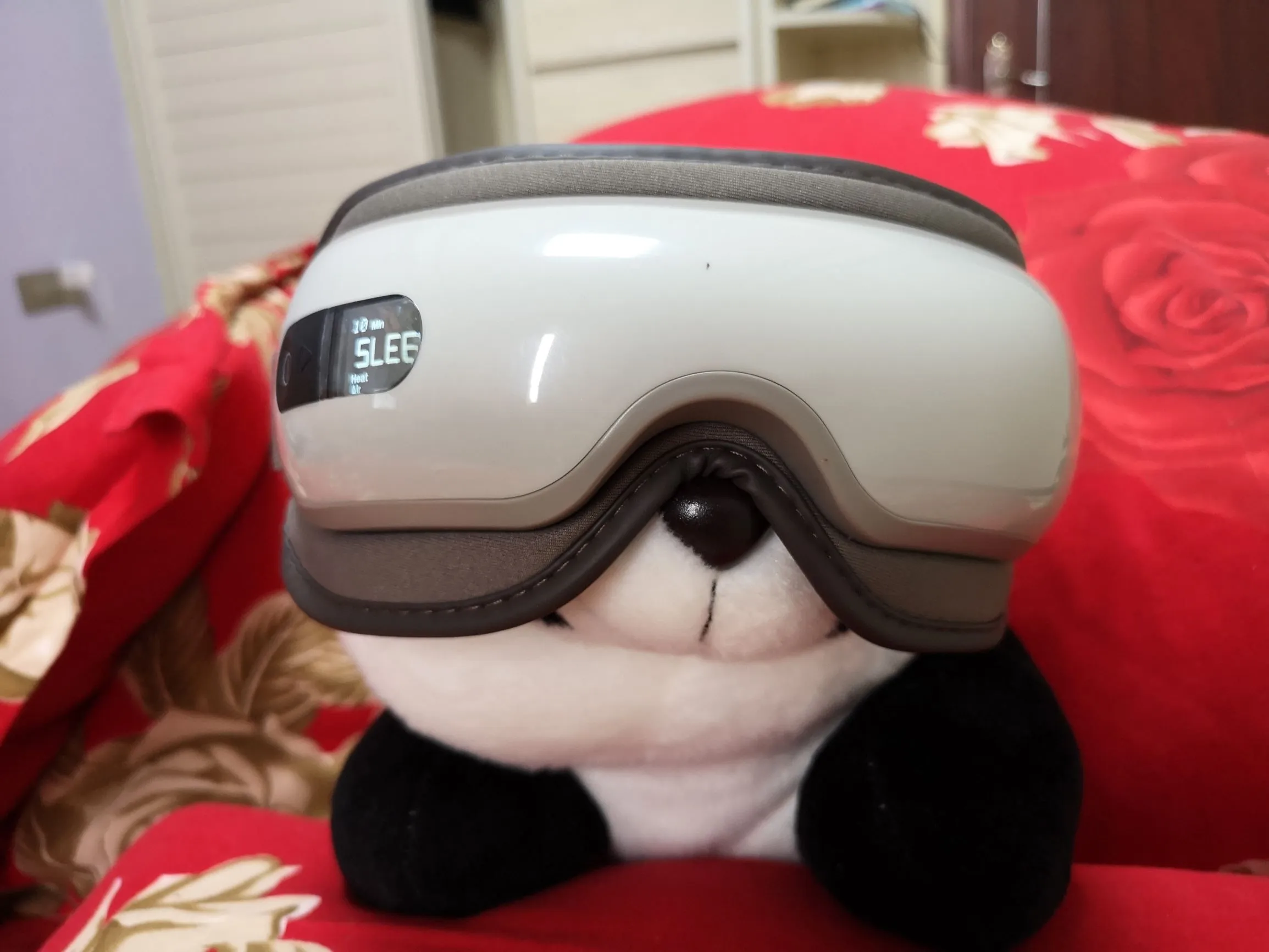 熊猫和 isee 16