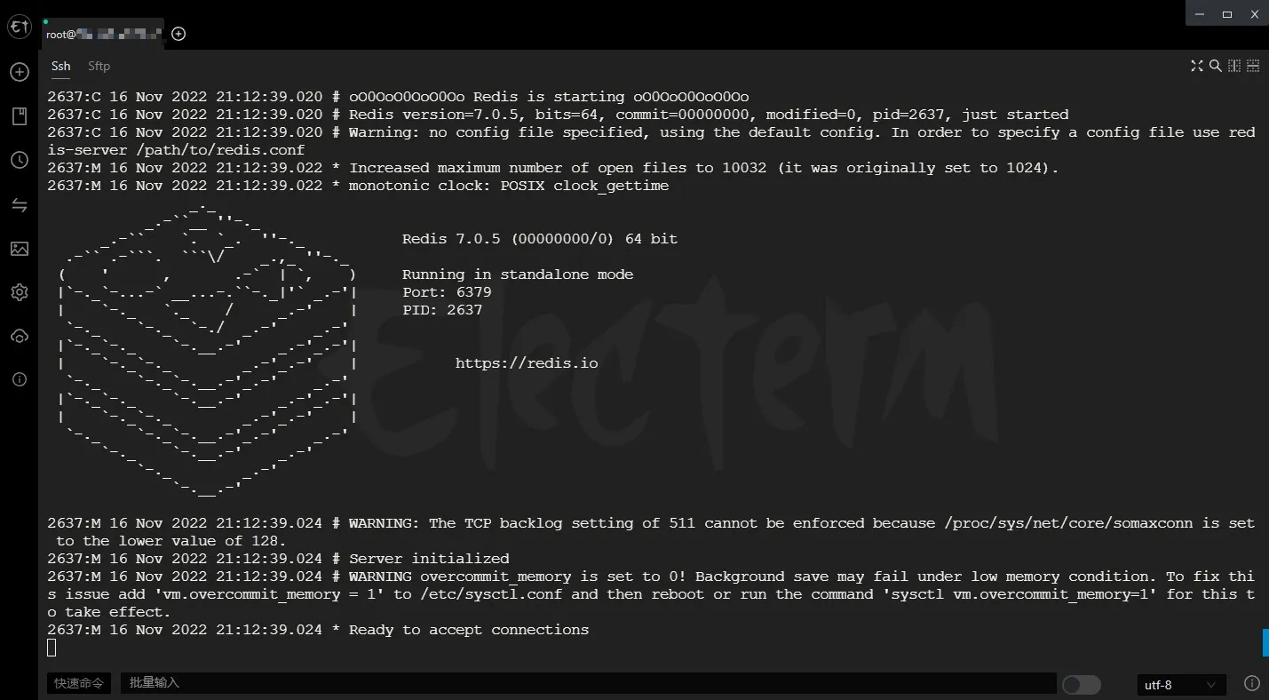 安装完成启动 Redis