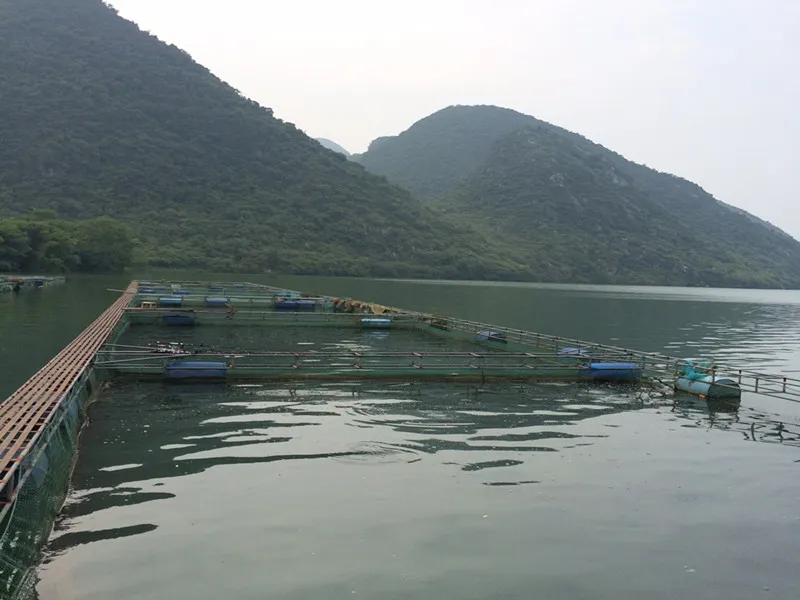 水箱