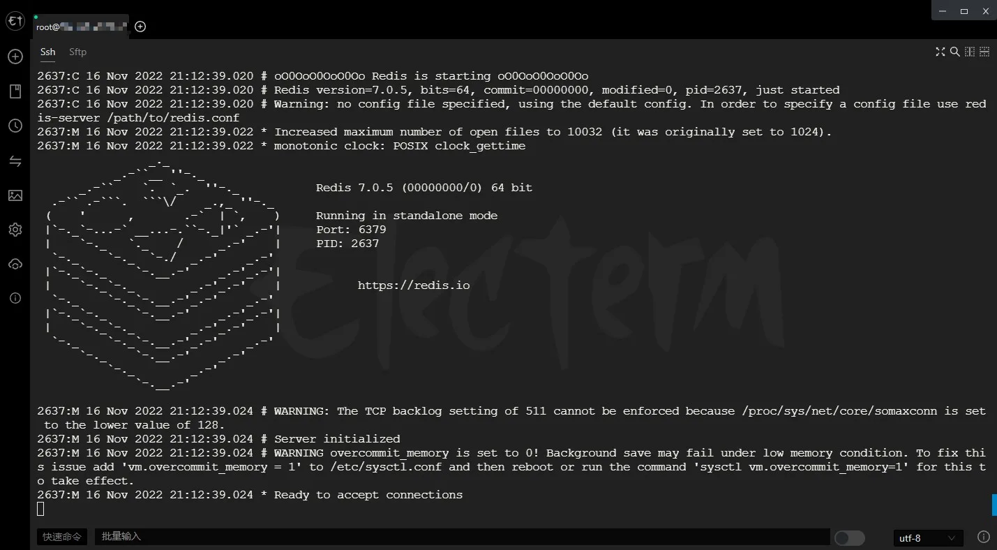 安装完成启动 Redis