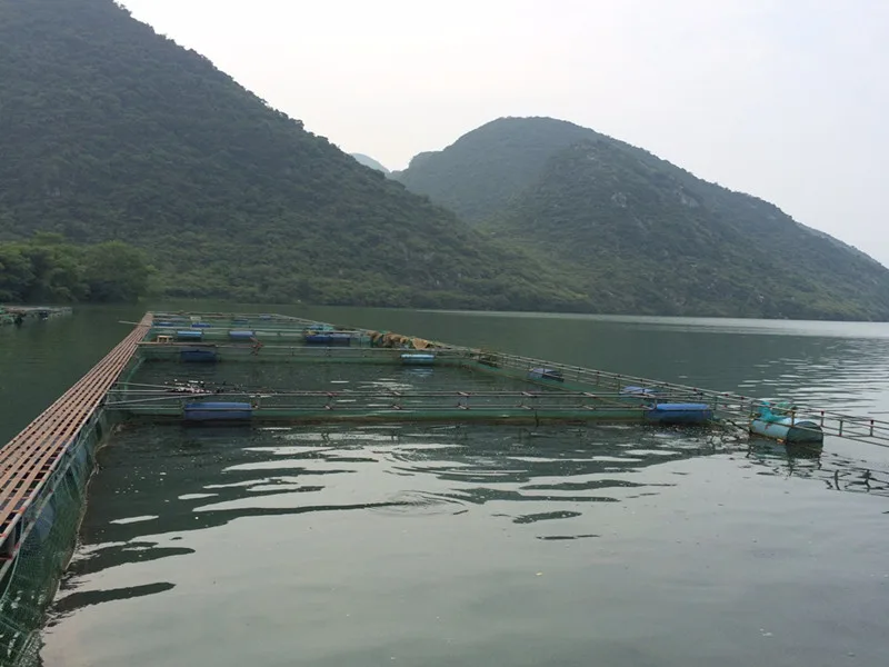 水箱